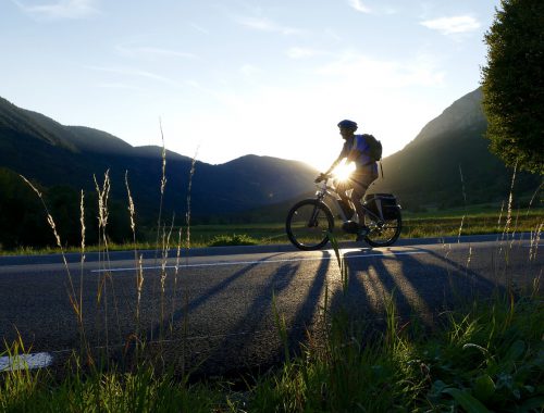 elektrische fiets